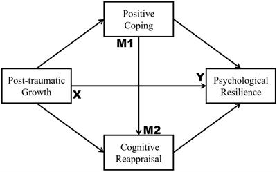 Post-traumatic Growth and Psychological Resilience During the COVID-19 Pandemic: A Serial Mediation Model